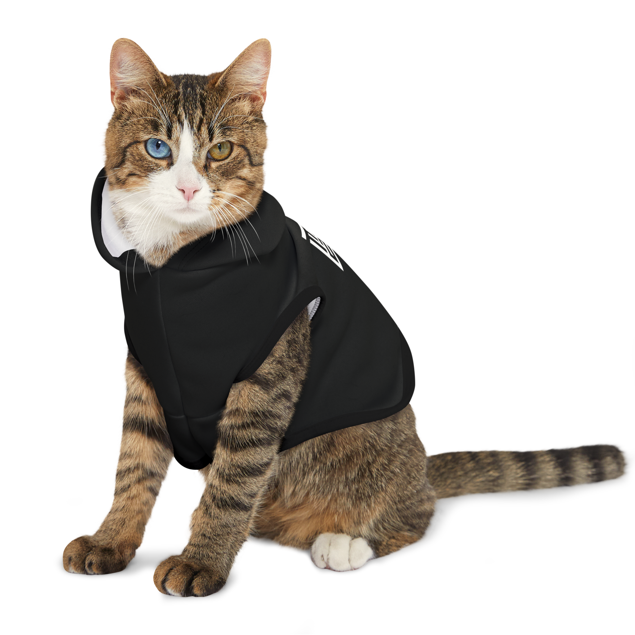 The MAZE Pet Hoodie