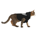 The MAZE Pet Hoodie