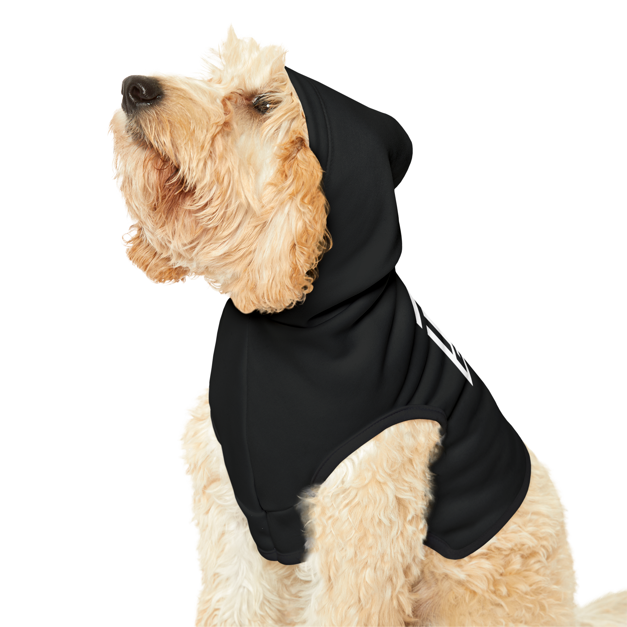 The MAZE Pet Hoodie