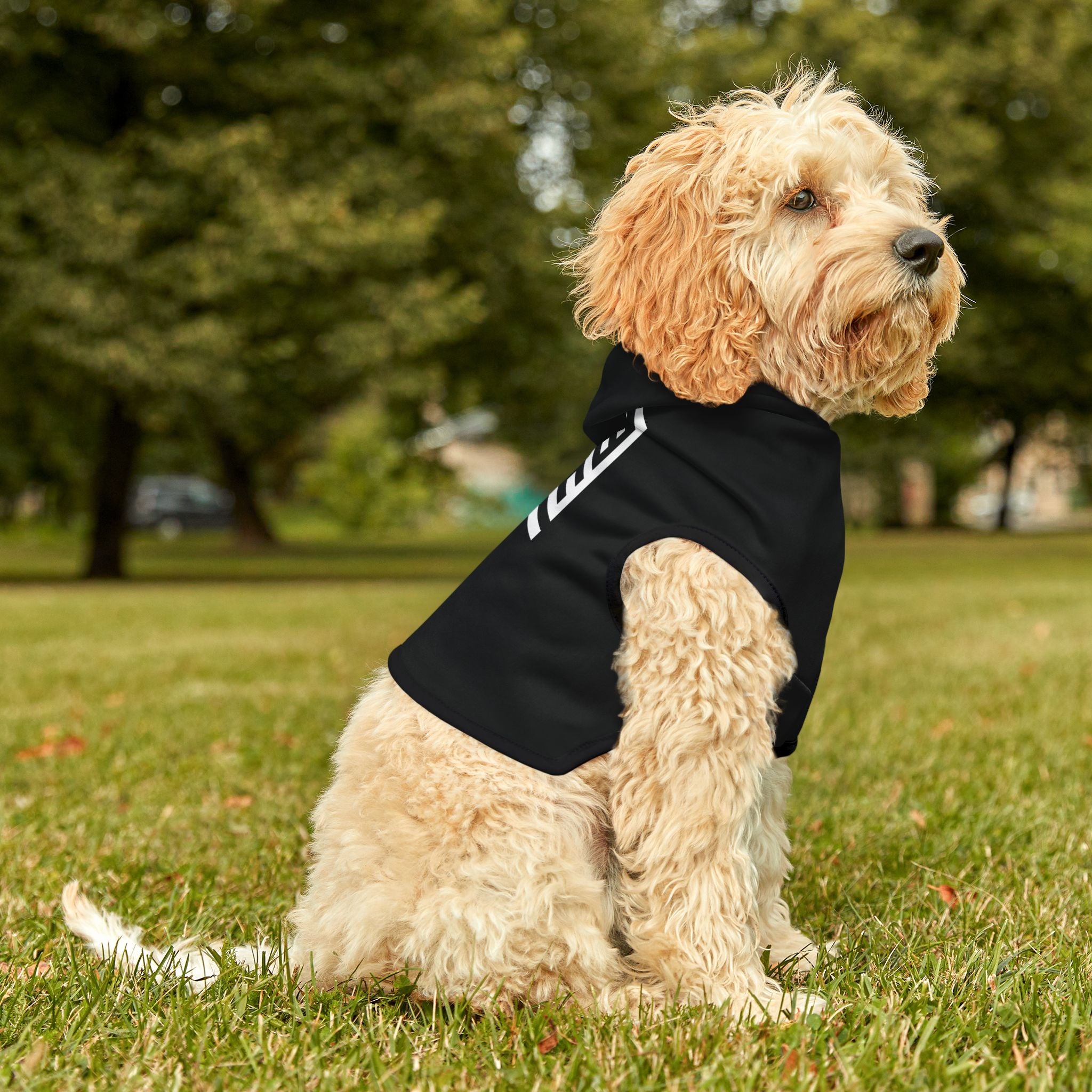 The MAZE Pet Hoodie