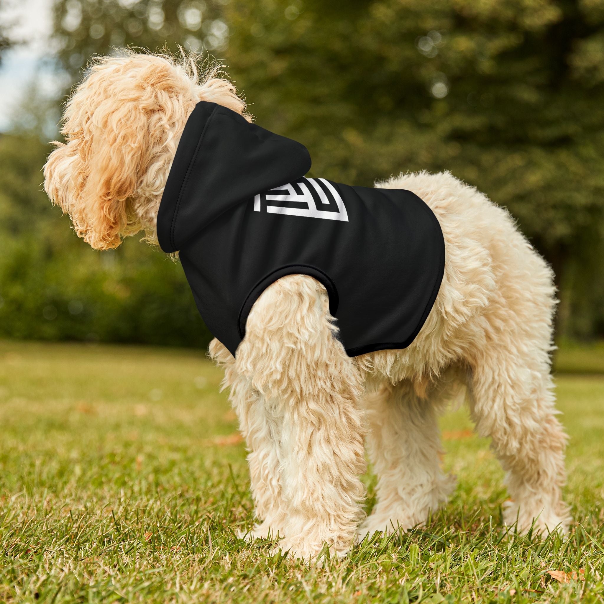 The MAZE Pet Hoodie