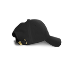 The MAZE Dad Hat
