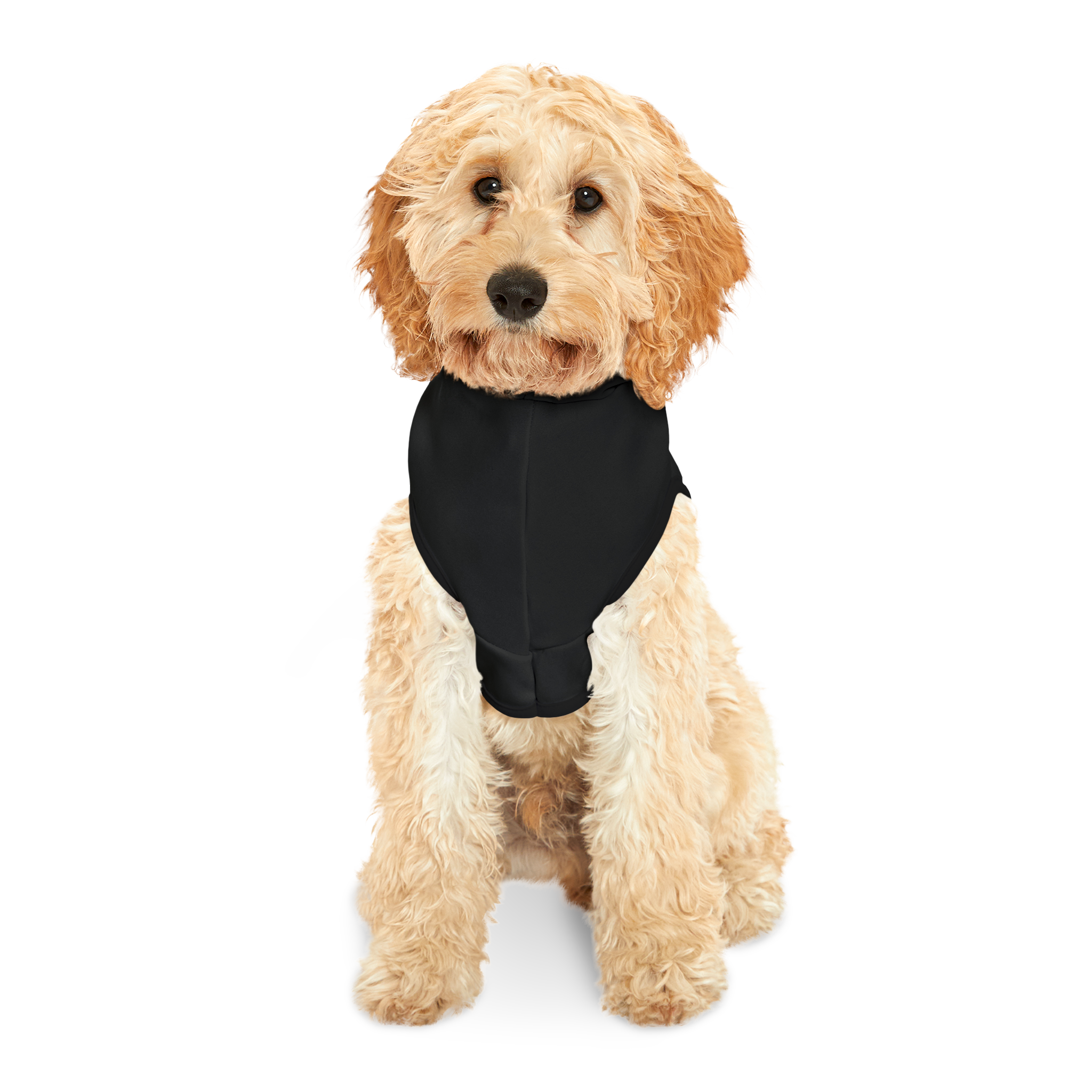 The MAZE Pet Hoodie