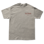 Origins (oversized)